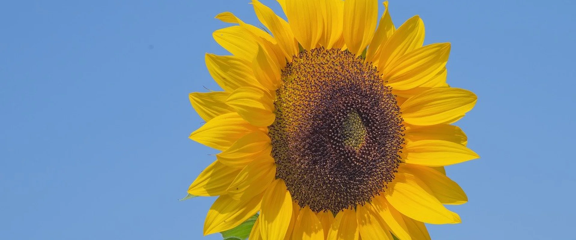 问鼎娱乐娱乐平台