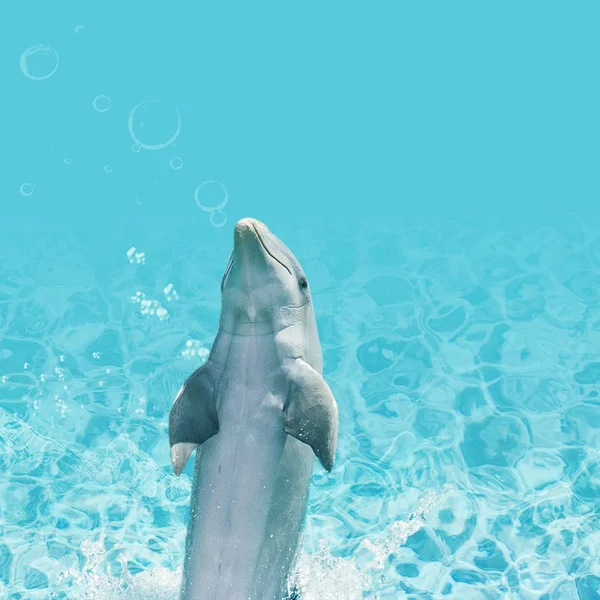 问鼎娱乐百家乐游戏